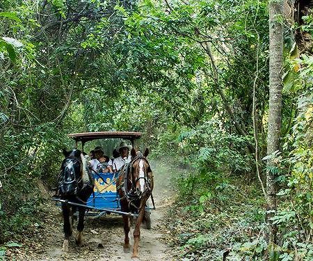 Guembe Biocentro & Resort Санта-Крус-де-ла-Сьерра Экстерьер фото
