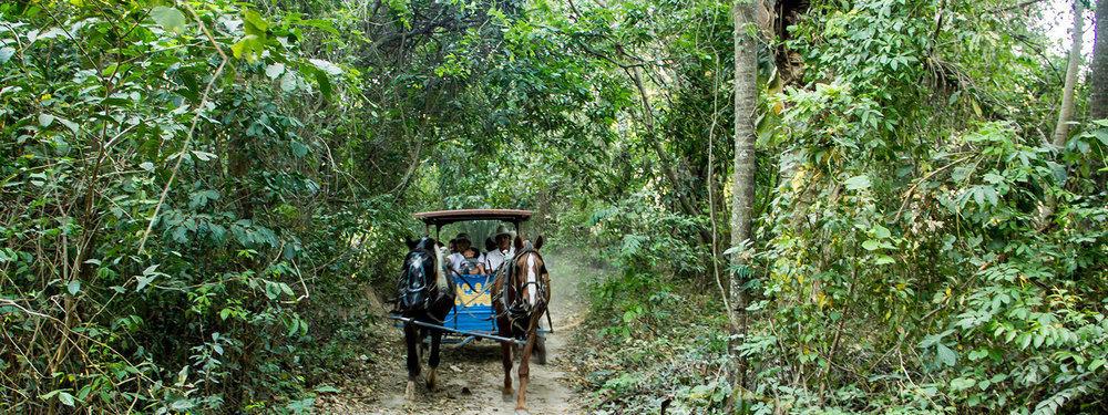 Guembe Biocentro & Resort Санта-Крус-де-ла-Сьерра Экстерьер фото